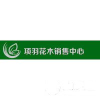 沭陽縣項羽花木銷售中心